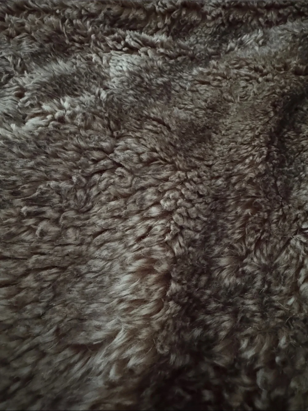 Pottery Barn Large 60